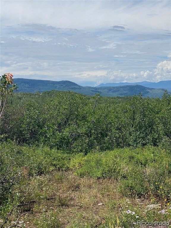 View from Lot 8