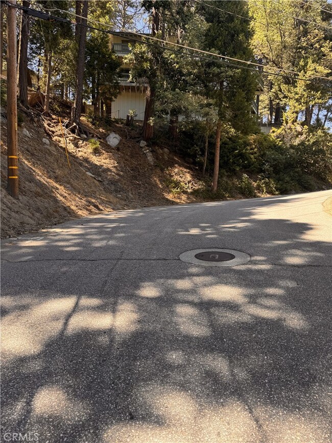 24355 Albrun Dr, Crestline, CA 92325 - photo 6