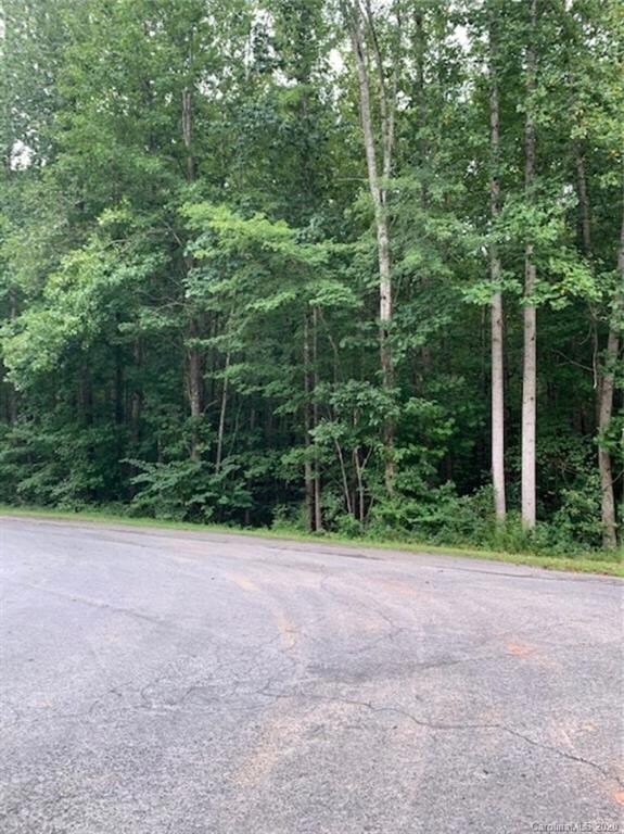 TBD Arabian Dr unit 82-83, Cedar Grove, NC 27205 - photo 2