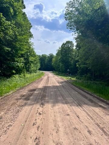 28xxx 89th Ave, Boyd, WI 54726 - photo 5