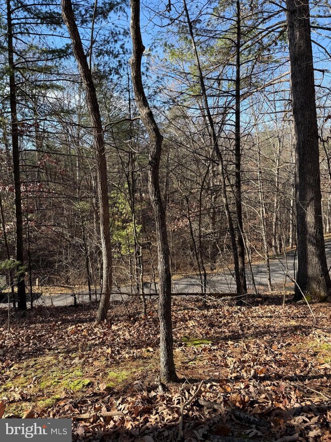 0 Susan Rd, Mount Jackson, VA 22842 - photo 7