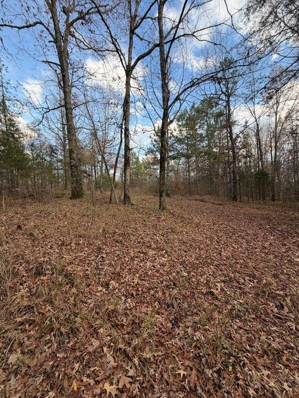 000 Rd, Grenada, MS 38901 - photo 6