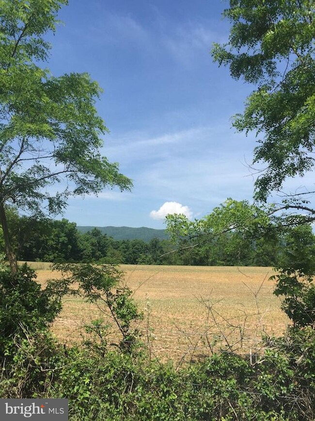 0 Not On File unit 1003289369, Maurertown, VA 22644 - photo 2