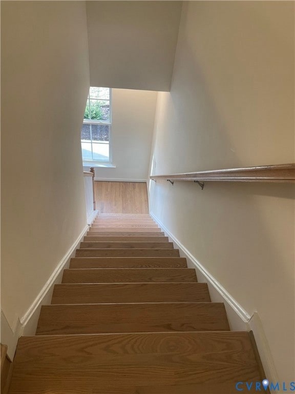 3006 Gammon Alley, Glen Allen, VA 23059 - photo 2