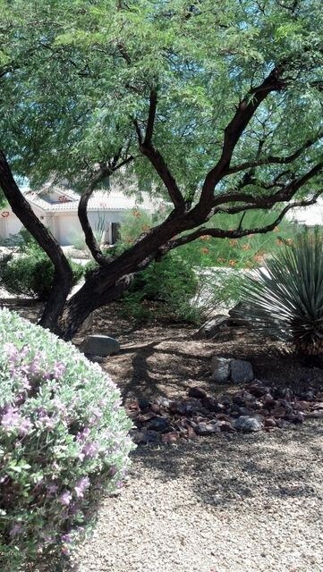 Front Landscaping