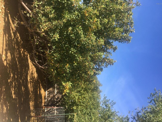 24250 N Los Angeles St, Paulden, AZ 86334 - photo 3