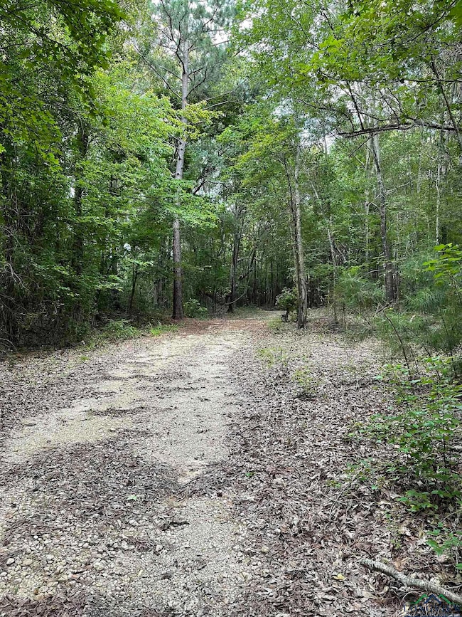 View of road with a view of trees