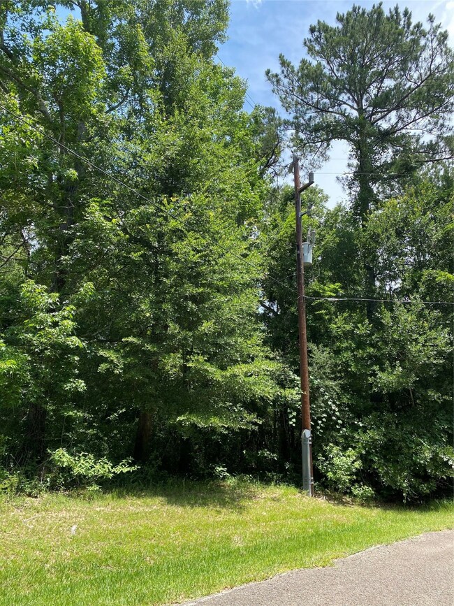 6503 Skylight Ln, Magnolia, TX 77354 - photo 6