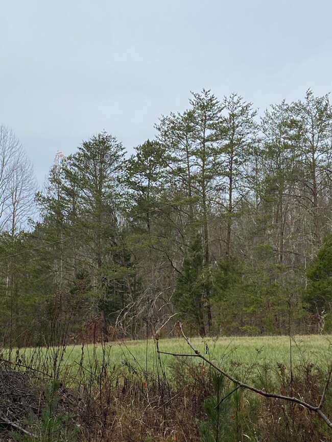 17 ac. Old Chilhowee 6 MLS1136250