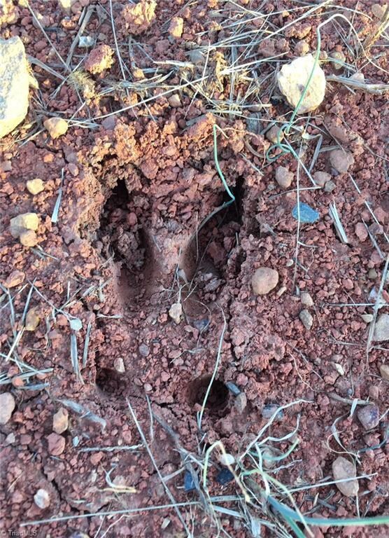 6676 High Pine Church Rd, Asheboro, NC 27205 - photo 7