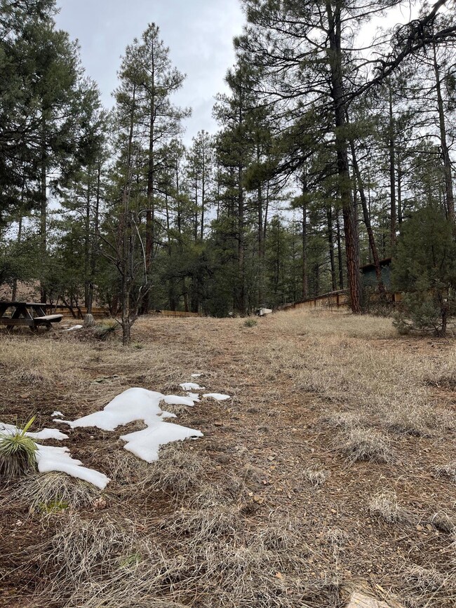 173 Hunt Dr, Pine, AZ 85544 - photo 2