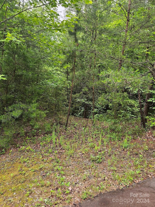 00 Brookside Pkwy unit 24, Lake Lure, NC 28746 - photo 5