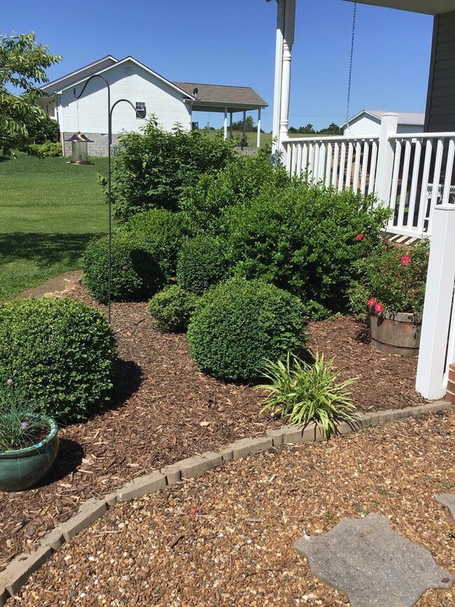 5551 Pendergrass Rd, Byrdstown, TN 38549 - photo 6