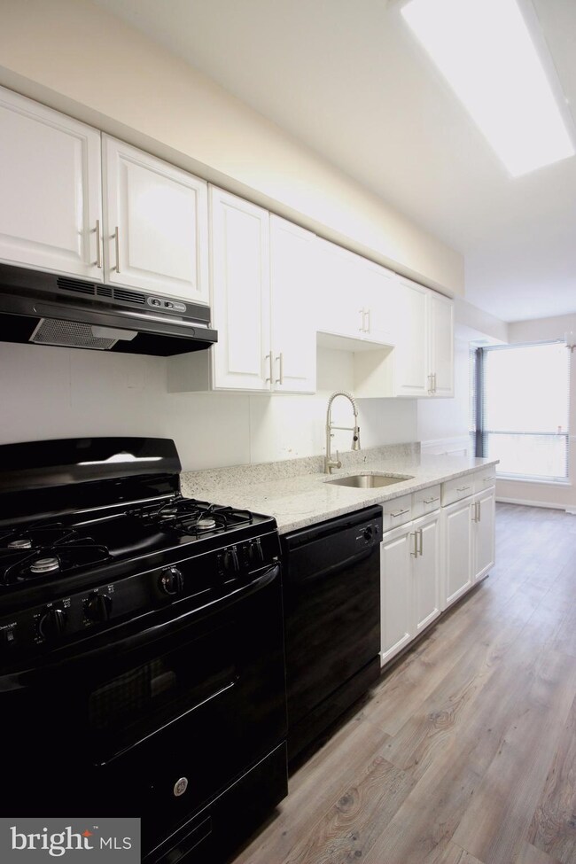 Chestnut Grove Condominiums unit 262, Reston, VA 20190 - photo 5