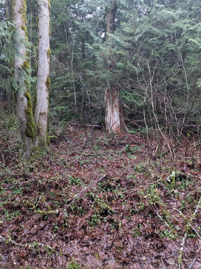 0 West Rd, Sedro Woolley, WA 98284 - photo 4