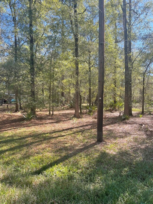 TBD County Road 441, Dayton, TX 77535 - photo 3