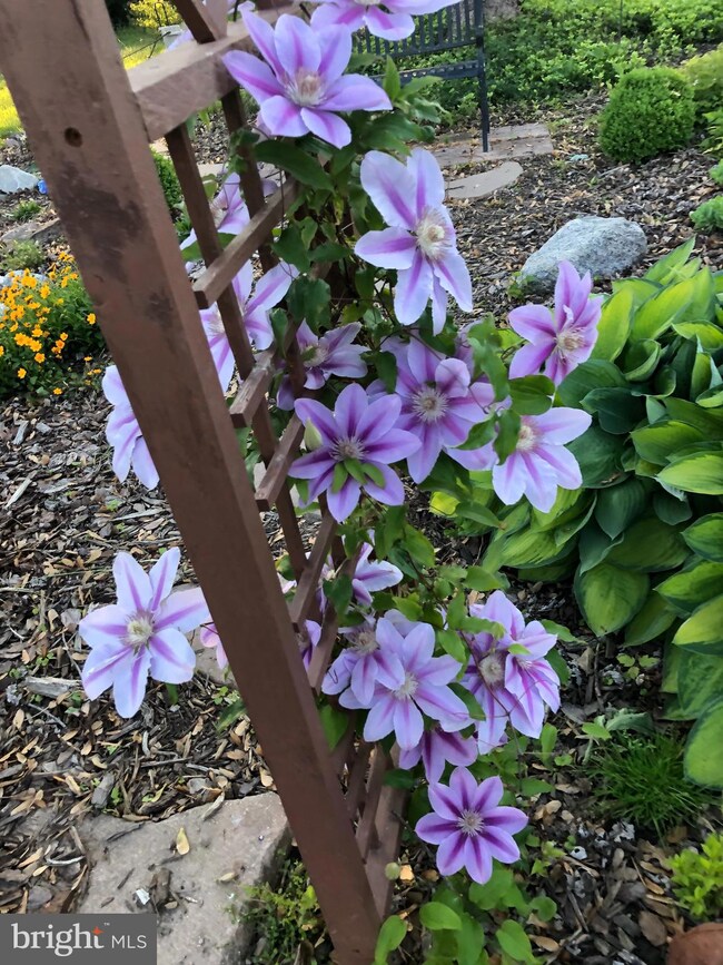 22 Newburg Ave, Catonsville, MD 21228 - photo 3