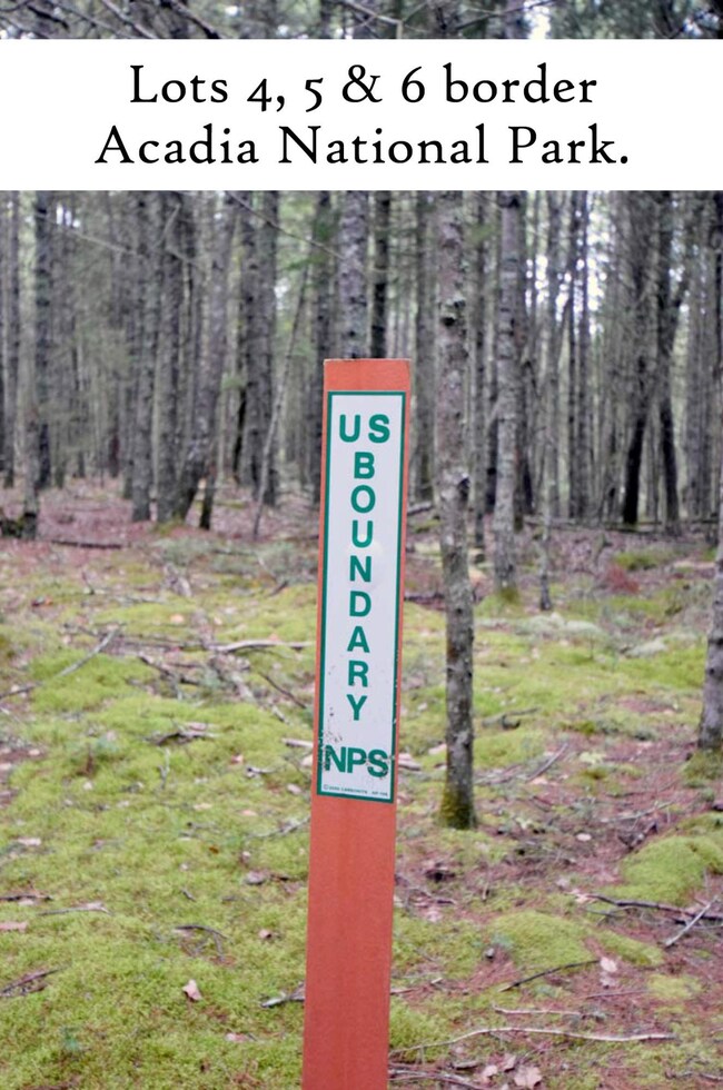 ANP marker 2, label