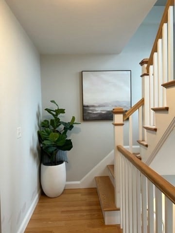 16 Common St unit 3, Waltham, MA 02451 - photo 5