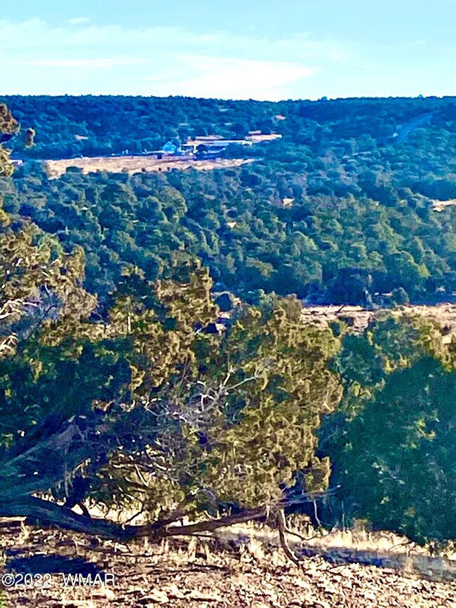 99760502-5230-4D30-A63E-025043B0E62A