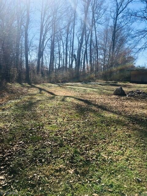 back yard