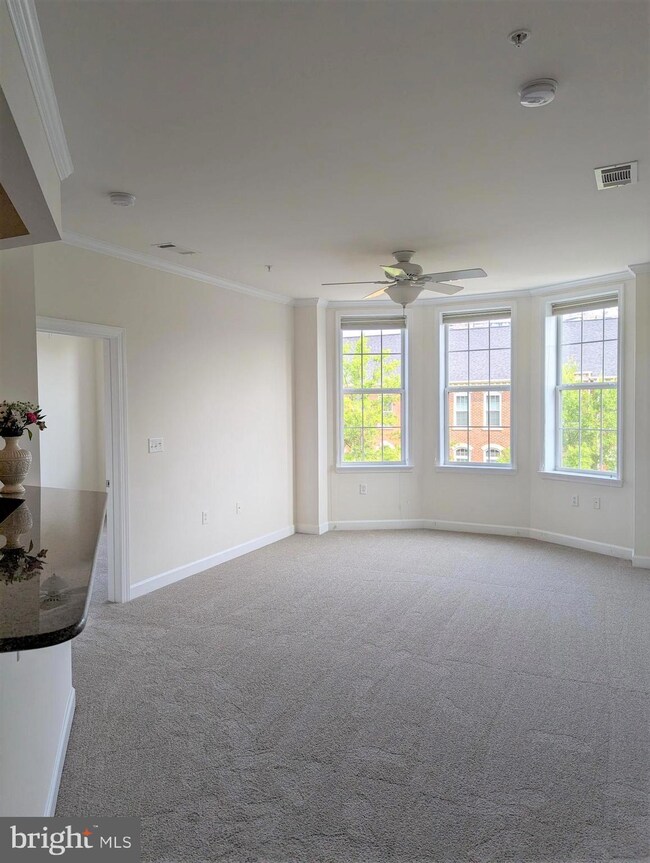 Cameron Square unit 306, Alexandria, VA 22304 - photo 2
