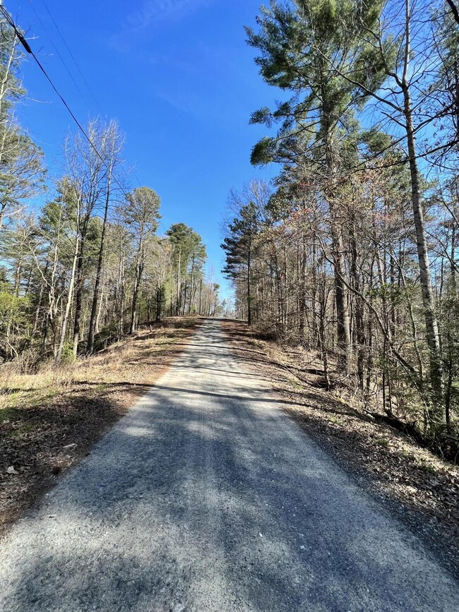 0 Indian Ln unit RTC2714807, Ellijay, GA 30540 - photo 5