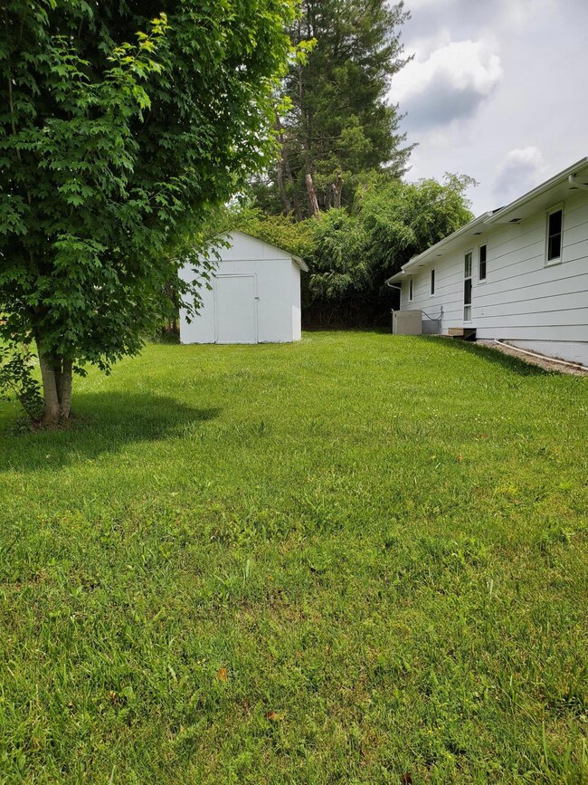 153 Warren St, Fall Branch, TN 37656 - photo 4