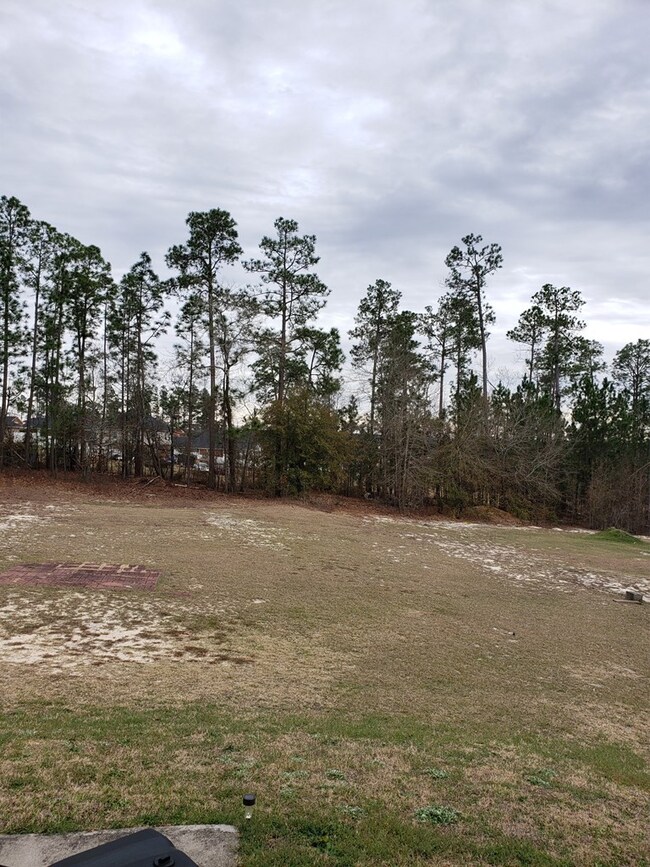 Large yard