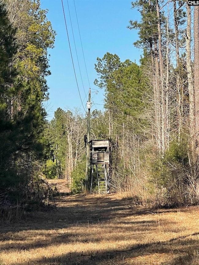 53 Baker Rd, Whitmire, SC 29178 - photo 3