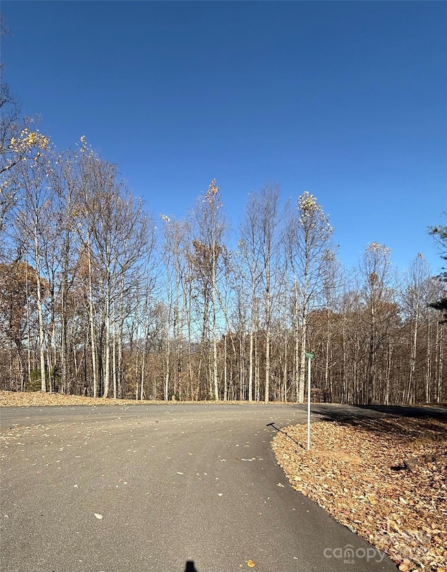 V/L Lot 72 & 170 Black Lark Dr, Marion, NC 28752 - photo 5