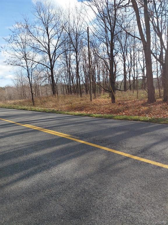 4547 Potter Rd, Bear Lake, MI 49614 - photo 3