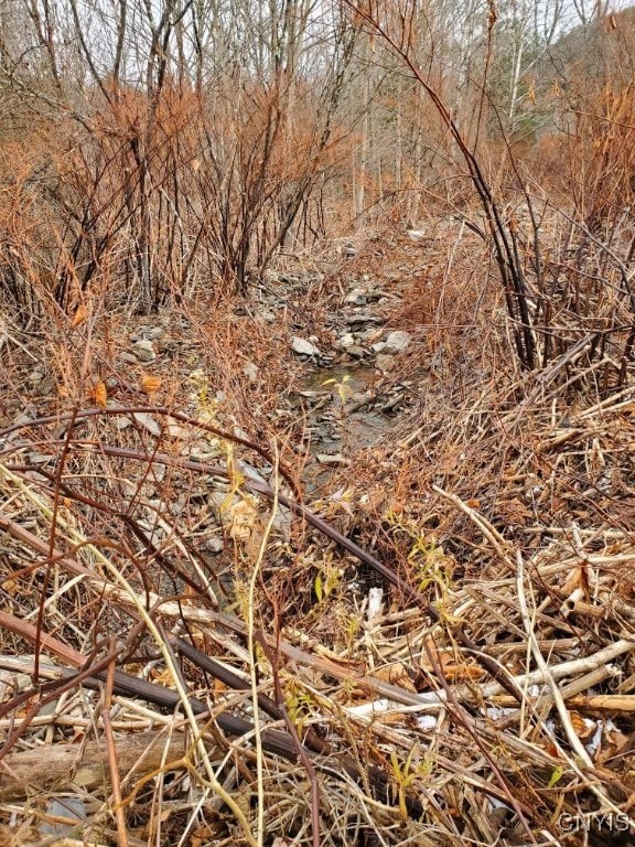 7 Murphy Ln, Newark Valley, NY 13811 - photo 2