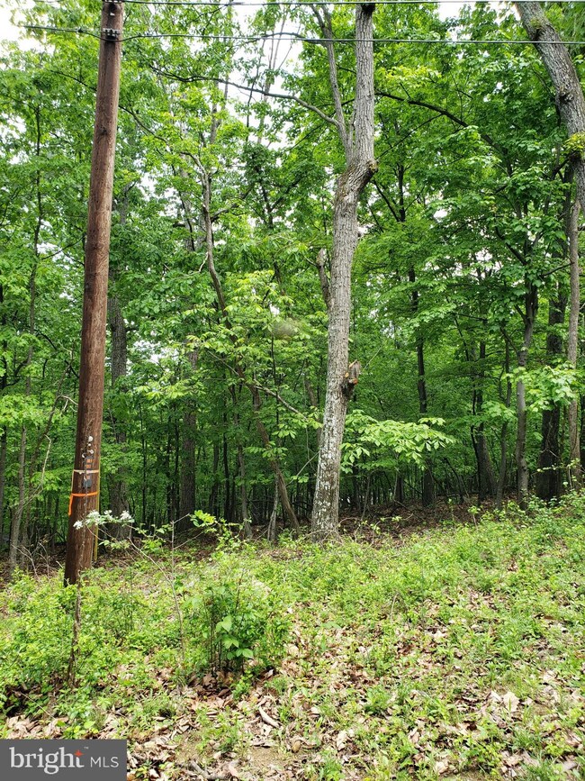 0 Lot 378 Kits Ct unit VAWR2003128, Front Royal, VA 22630 - photo 6