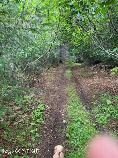 Trail access to Bear Cove 2
