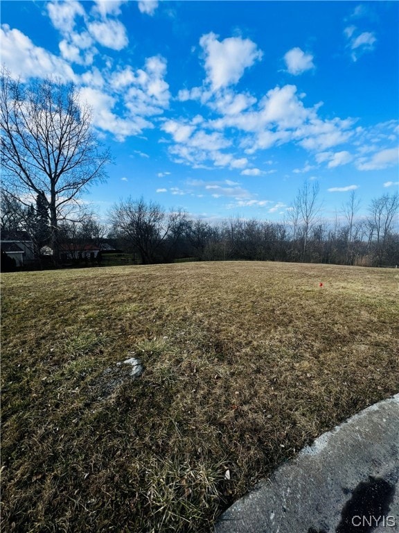 0 Will New Blvd unit S1521106, Canastota, NY 13032 - photo 2