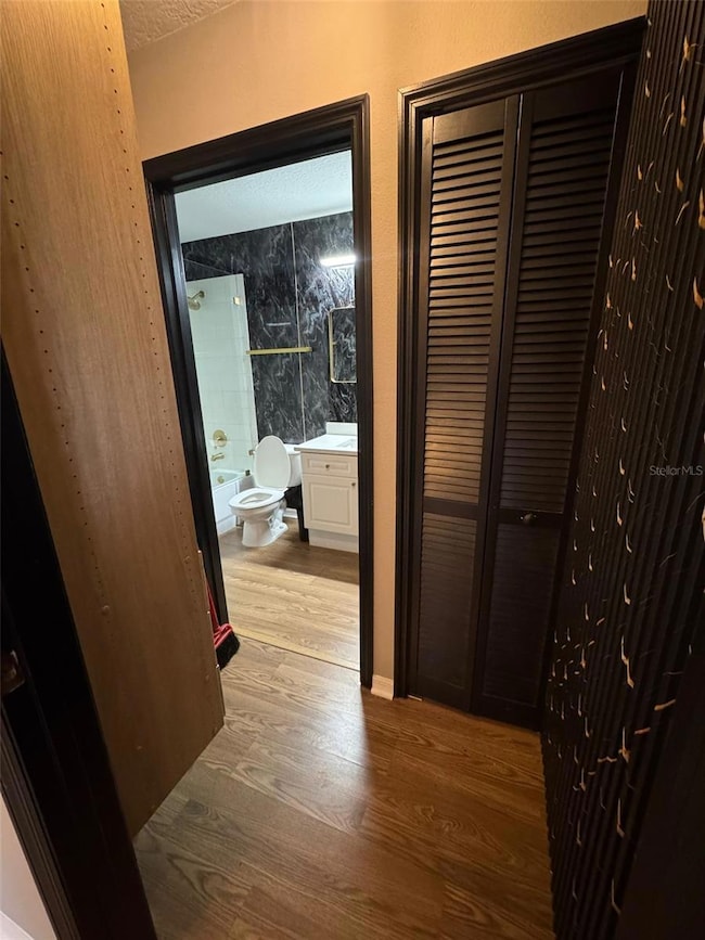 Hallway to the bathroom