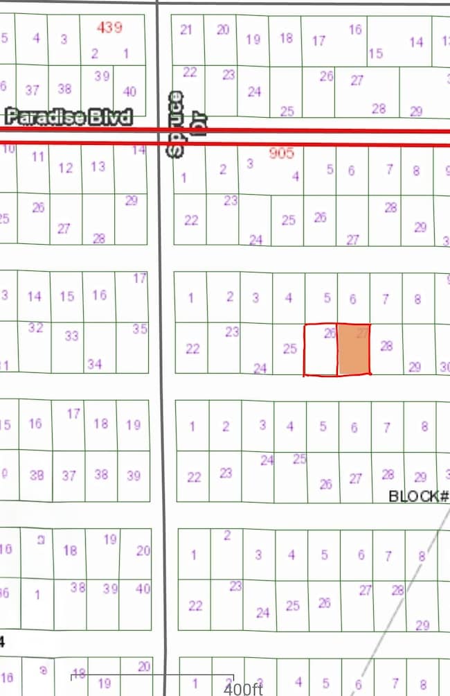 310 Laisy Dr, Georgetown Cove, FL 32139 - photo 2