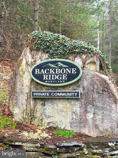 Lot 7 Backbone Ridge Rd, Oakland, MD 21550 - photo 2