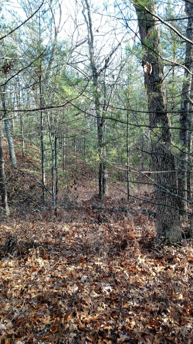 IMG_20161206_134252517