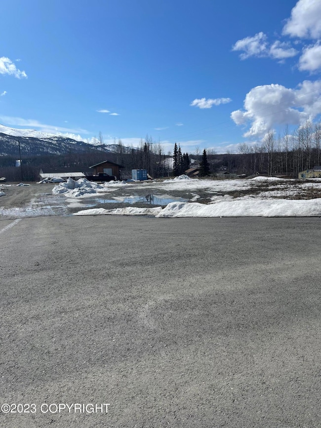 Driveway 1