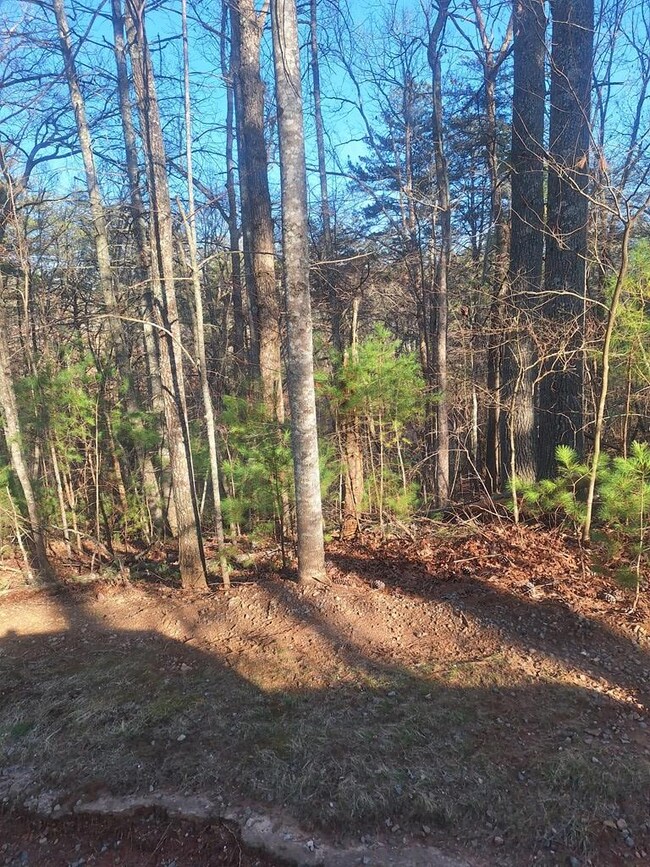 0 Toccoa River Ln unit 402049, Mineral Bluff, GA 30559 - photo 6