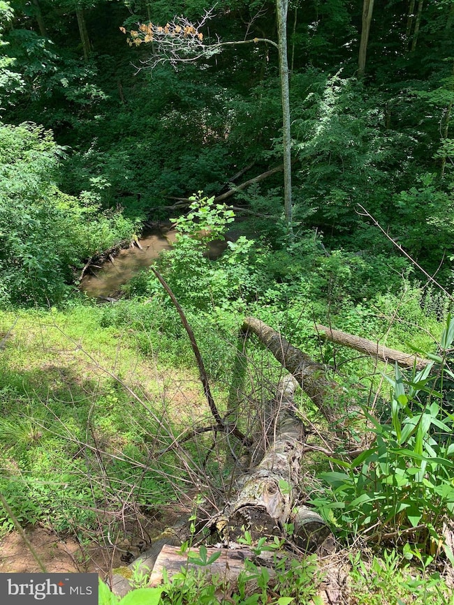 0 Route 5, Renick, WV 24966 - photo 2