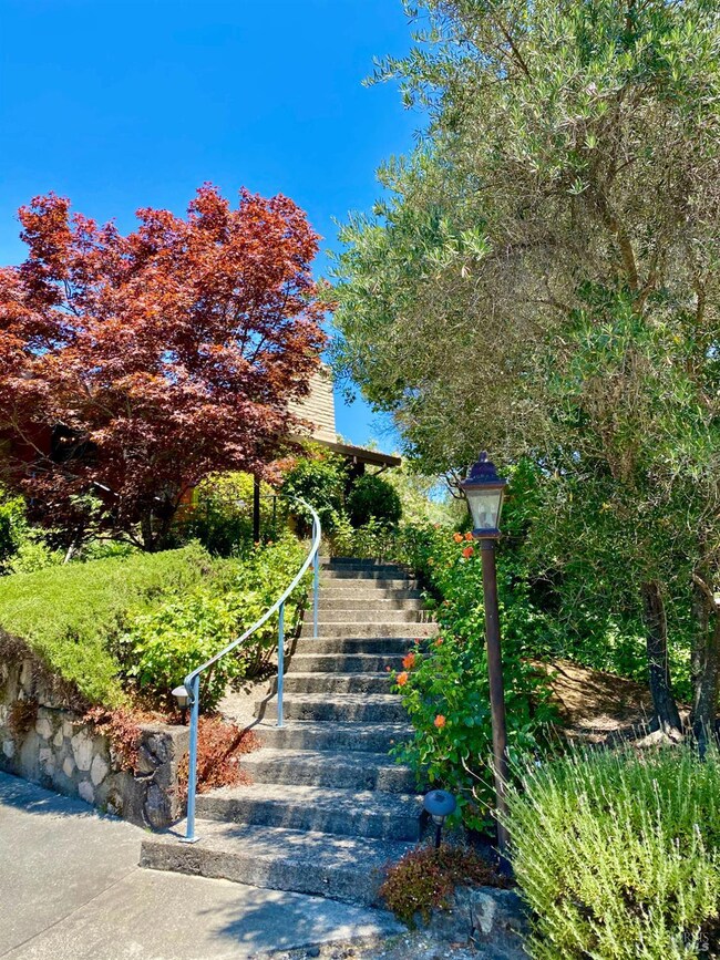 3594 Silverado Trail N, Saint Helena, CA 94574 - photo 2