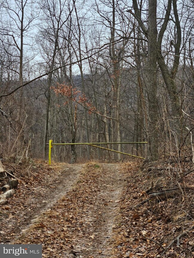 953 Apple Way, Saint Thomas, PA 17252 - photo 4