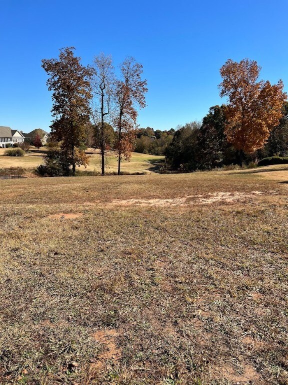 Facing from front of lot looking towards back of l