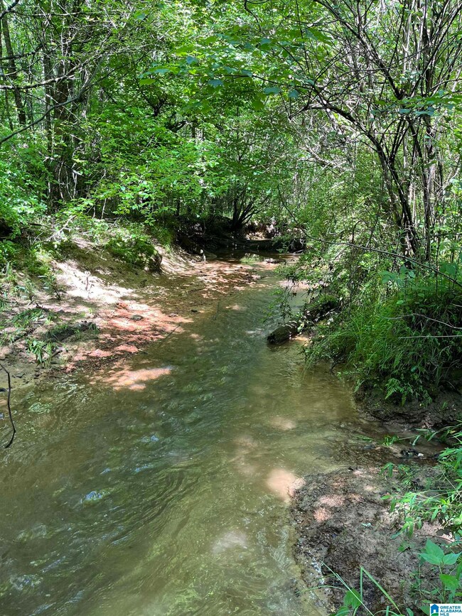 0 Morton Rd unit 21423587, Oneonta, AL 35121 - photo 6