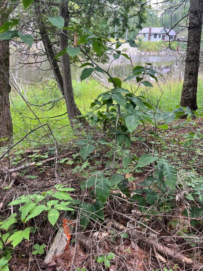 3 lots W River Rd, Garfield Township, MI 49762 - photo 6