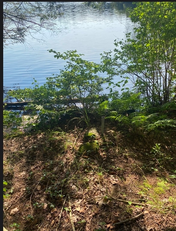 33 Washington Rd, Williamsburg, MA 01096 - photo 3