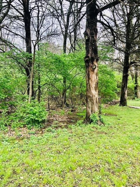 Parcel# 835-38081-00 S Redbud Ave, West Fork, AR 72774 - photo 3